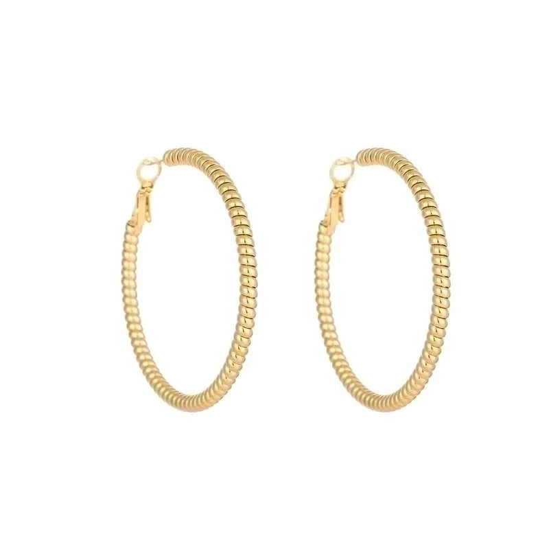 1 Pair Minimalist Solid Color Plating Titanium Steel Earrings