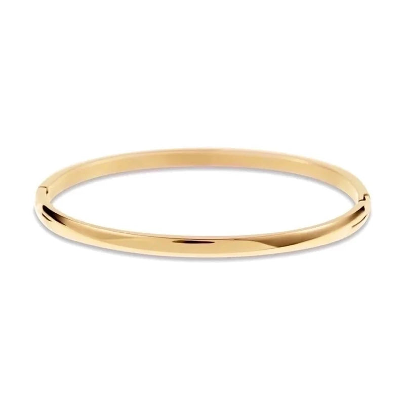Retro Solid Color Titanium Steel 18k Gold Plated Zircon Bangle