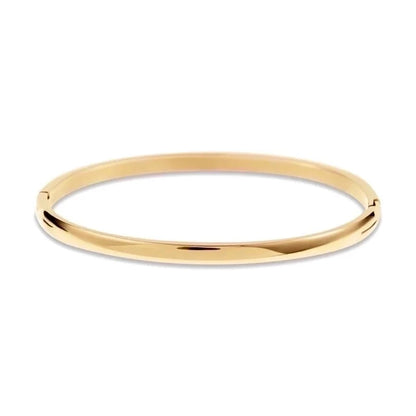 Retro Solid Color Titanium Steel 18k Gold Plated Zircon Bangle