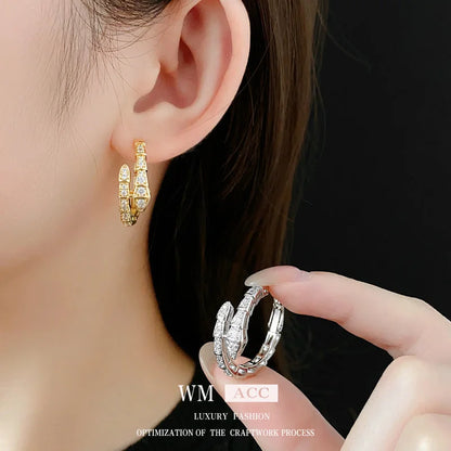 Luxurious Snake Chinese Zodiac Animal Copper Zircon Inlay Earrings